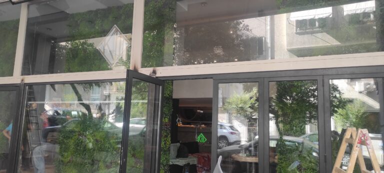 IMG 20221105 110141 768x346