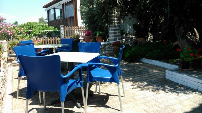 11000731 631903133612188 3086936407050225531 n 768x432