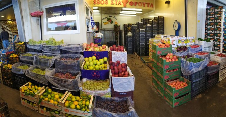 245955853 4559391070750072 2402344754353144269 n 1 768x399