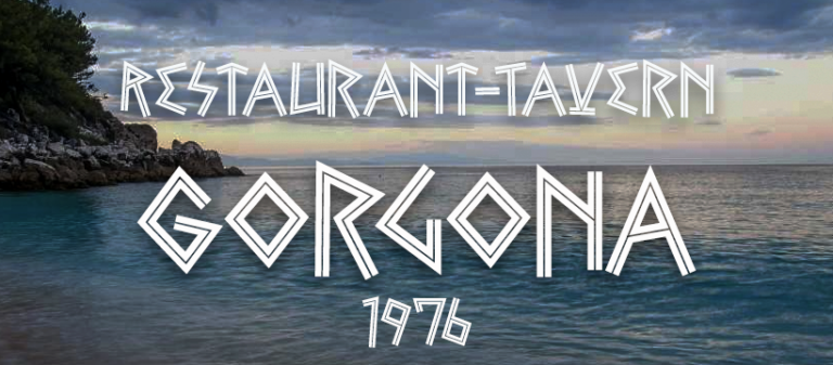 277521894 373735158091405 3616487703532050732 n 768x337