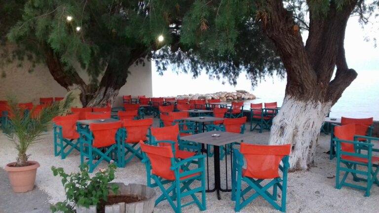 291764808 444220451046892 2551616236409435714 n 768x432