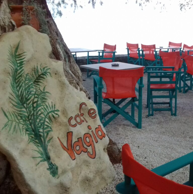 292222903 444220447713559 5327761848529960318 n 768x771