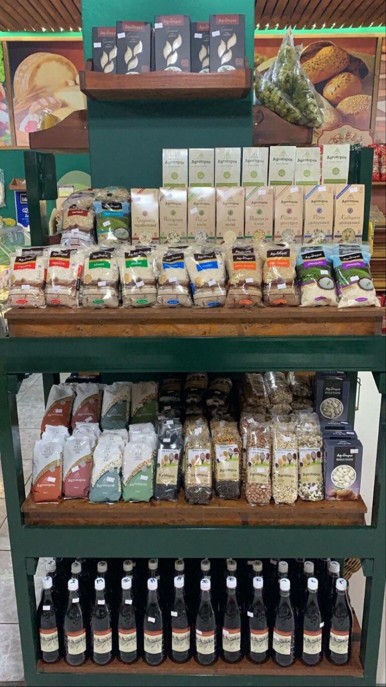 317616982 918364369526586 914963402304683867 n 768x1365