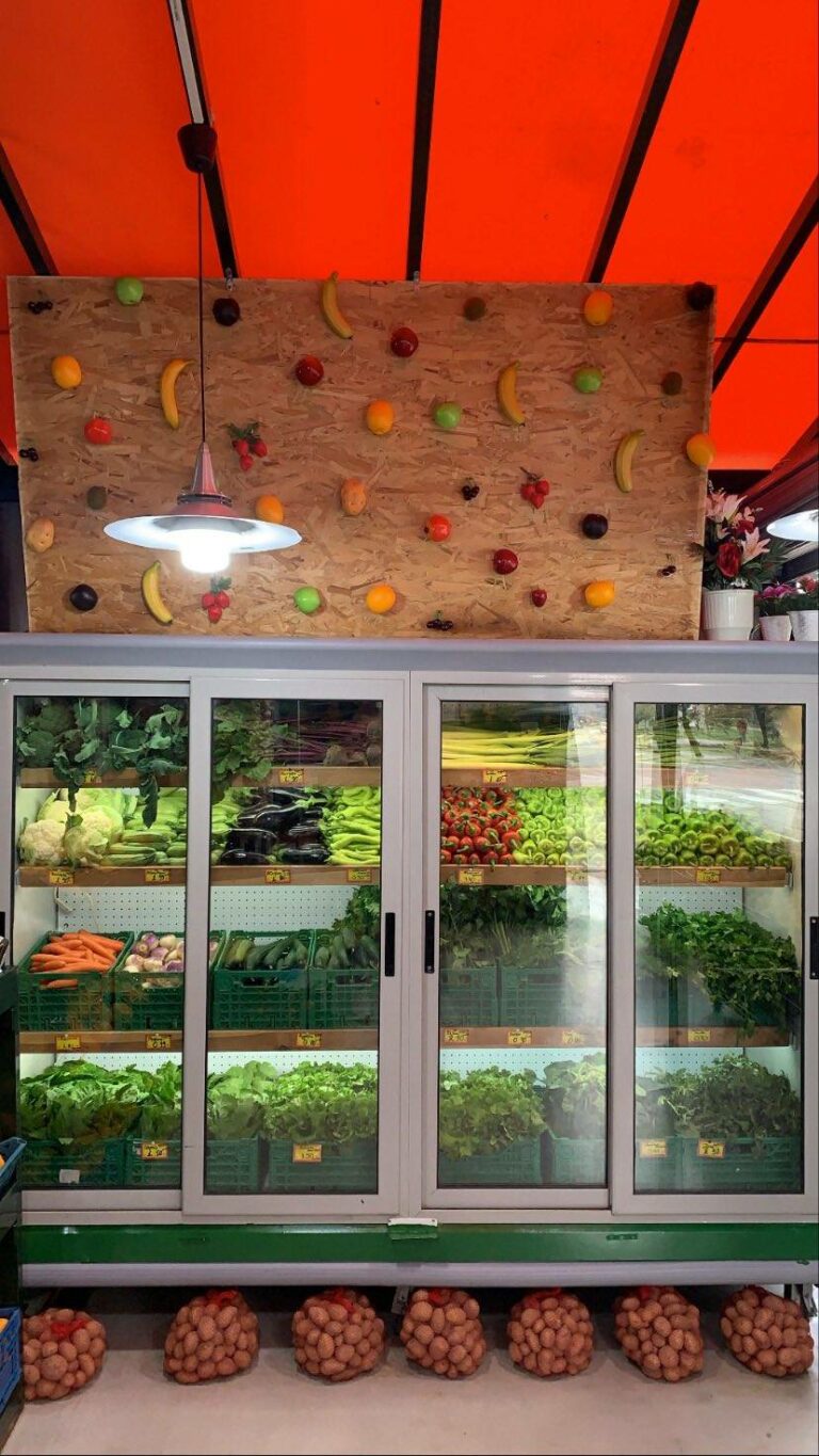 317647814 918364269526596 60483812865679591 n 768x1365