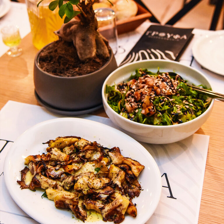 372918457 281152541331233 68346387082360220 n 768x768