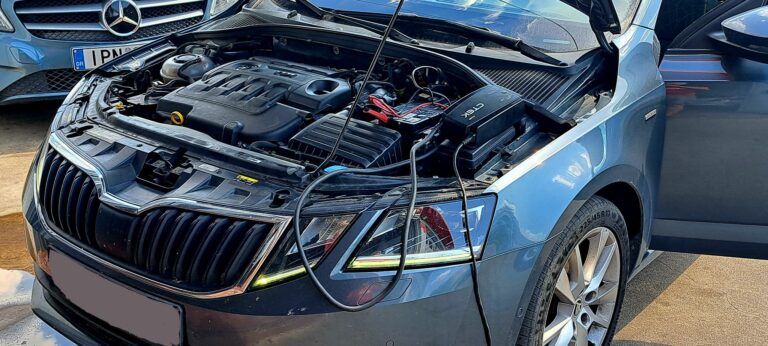 375981376 805273351598591 7967367581841034685 n 768x346