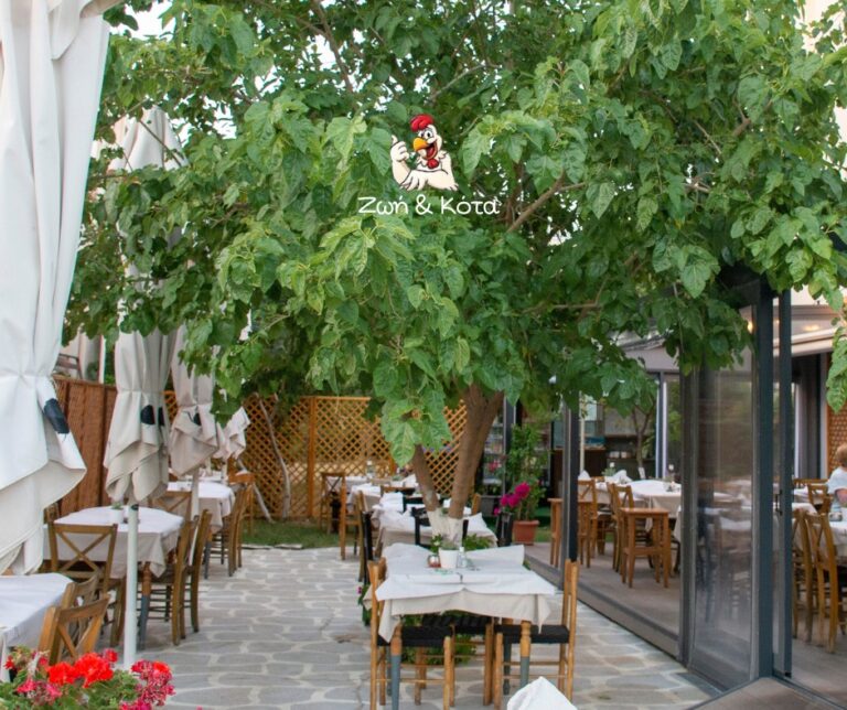 302175838 405569191663635 2326417907247870544 n 768x644