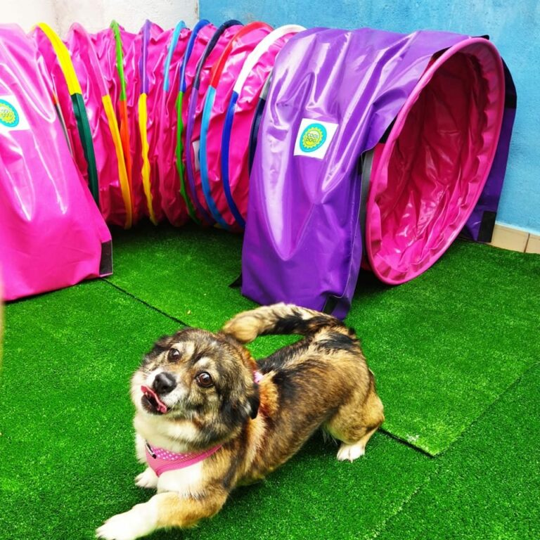 345609116 188169080797637 7691056236428153596 n 768x768