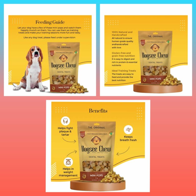 371895746 710727814403328 2536799051603749944 n 768x768