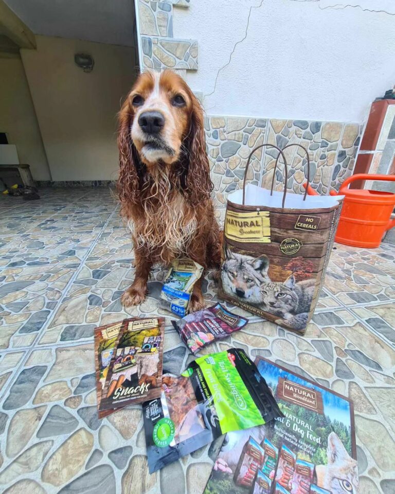 380368034 721611389981637 3163843320533989776 n 768x960