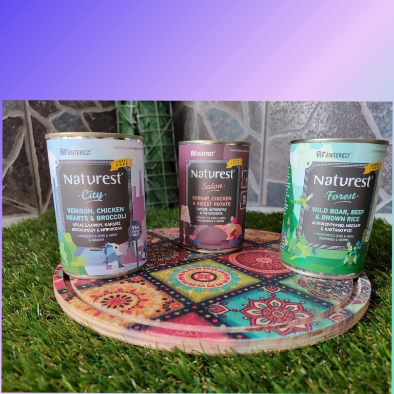 386315984 732610035548439 2392414428596755839 n 768x768