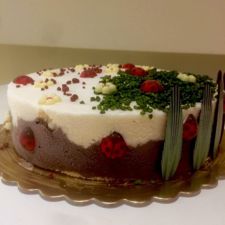 62360279 2049354708507260 6224497666013790208 n 768x768