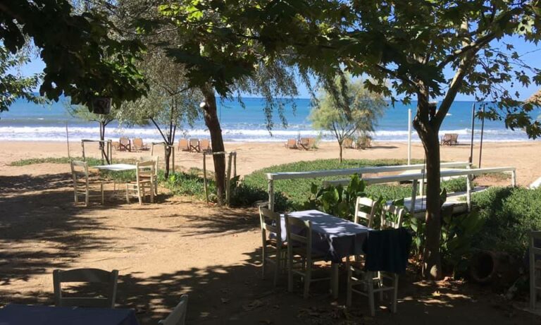 120288192 3210161692371206 884962150162787410 n 768x461