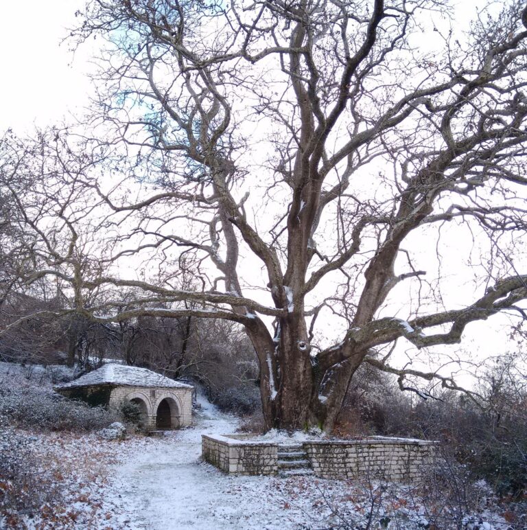 15844091 1336471163042302 7601780743206047966 o 768x772