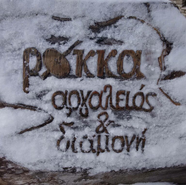 15896352 1336841906338561 5516704705971068752 o 768x767