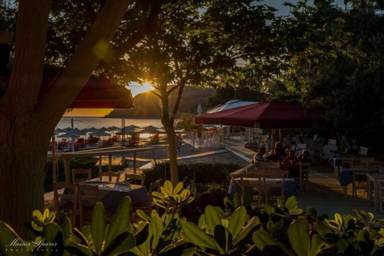 305318599 512819940845617 8060628863758735302 n 768x512