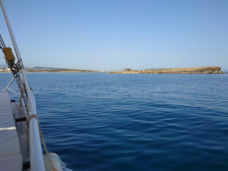 346668076 2531364247015453 1156561026272858444 n 768x576