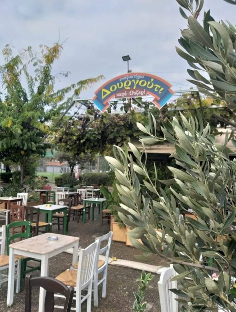 346873714 261067479644830 4844596994599974246 n 768x1015