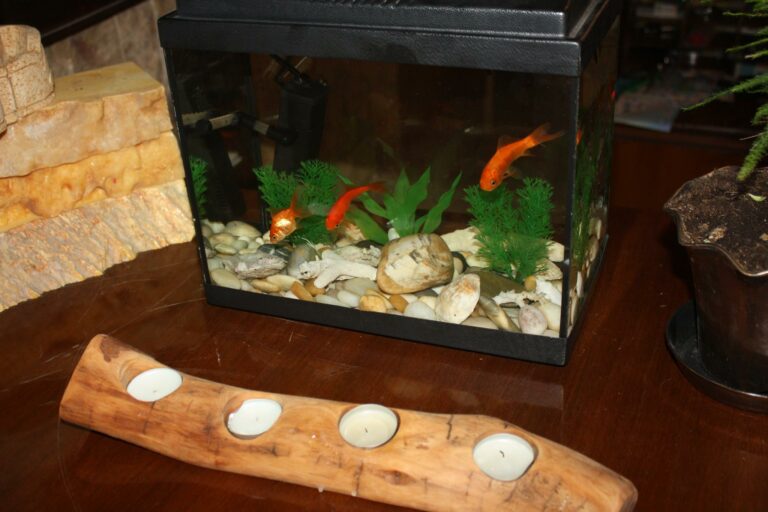 34689402 616089008769173 6815641902184923136 n 768x512