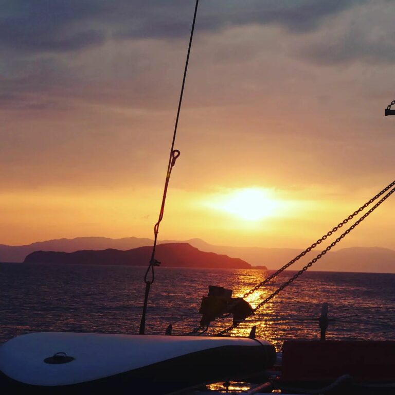 350127034 971626677303765 7059407557647510270 n 768x768