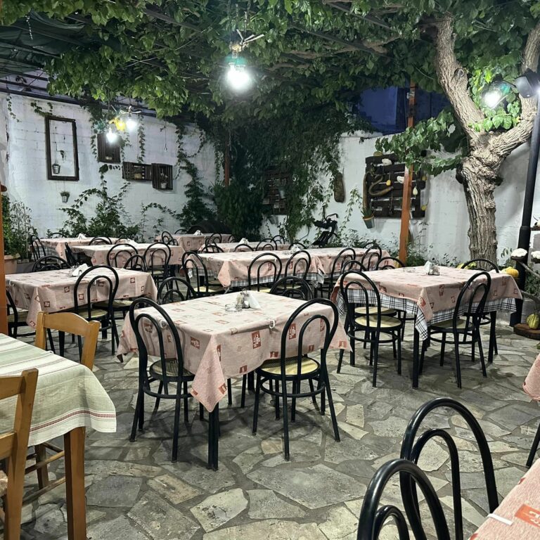 370523027 800204338463906 3624017124796475767 n 768x768