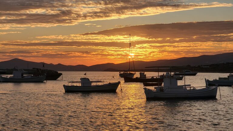 391744633 776084767863450 5641187642584383980 n 768x432