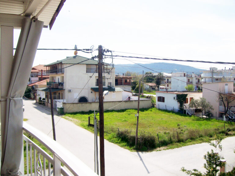 8291772 orig 768x576