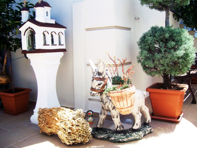 9006007 orig 768x576