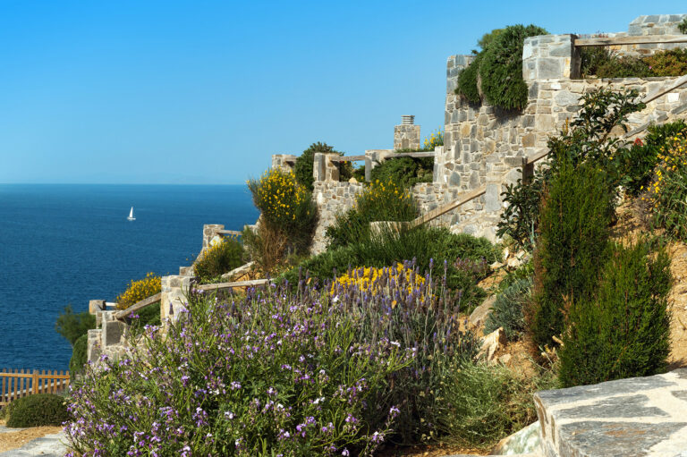 Aspes Serifos Villas exterior views 7 768x511