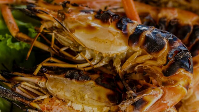 georgeosfamily slide 8 1 768x432