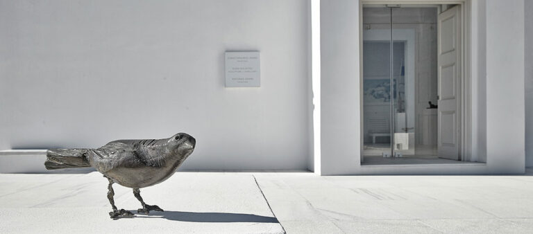 03 AK Asimis Kolaitou Art Gallery Home Page pigeon outside 0 768x338