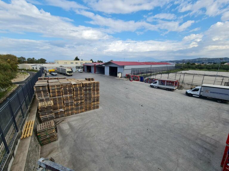 183872049 4138445772845513 2355146310743653571 n 768x576