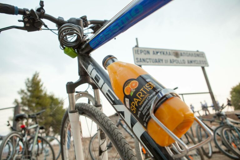 13920036 1112479228843456 8291439771095163653 o 768x512