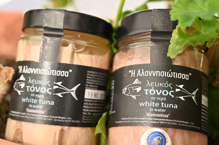 421995349 351760041018356 1613842056571108277 n 768x511