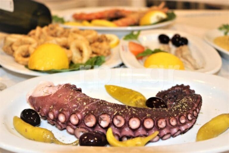 331645705 1910996082585529 4412217742848911238 n 768x512