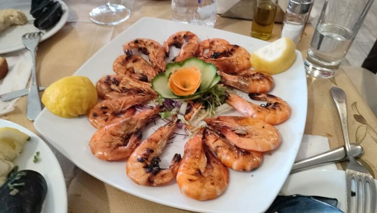 347237395 993501048317295 6713161609259143414 n 768x433