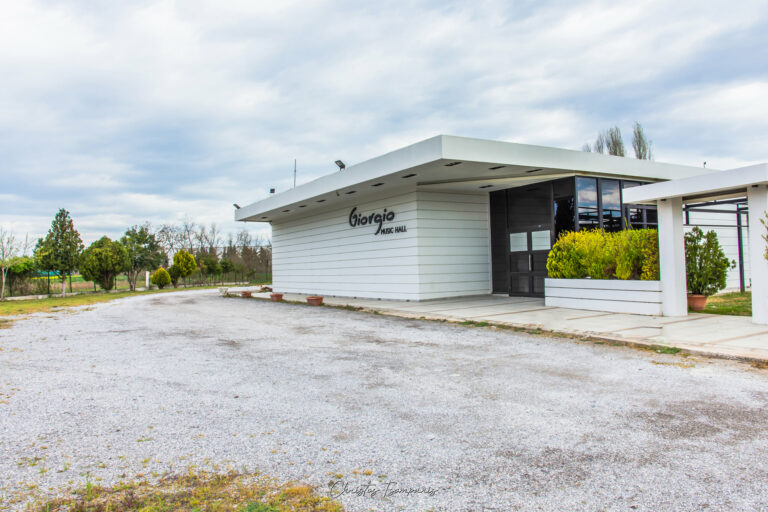 169953148 3831578170260493 5130005612094592962 n 768x512