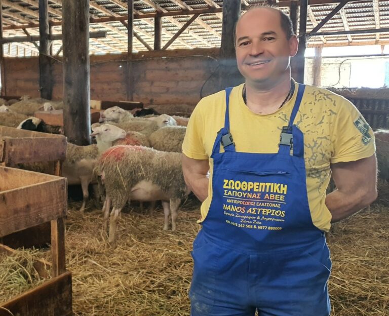 274458579 964094644228007 5373808105484494722 n 768x624