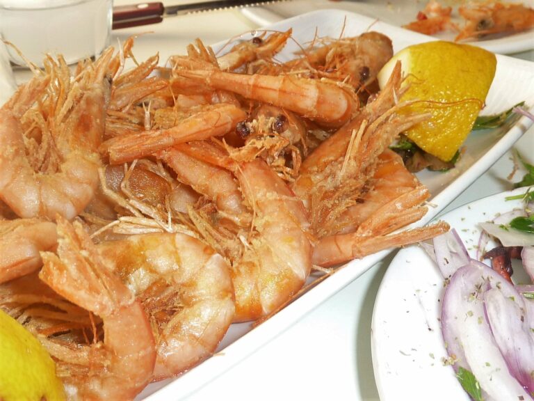 275245875 373047194823074 1830774905634085501 n 768x576