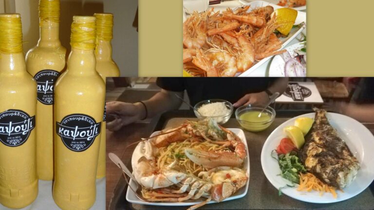 280645535 422014336593026 2510654679974484787 n 768x432