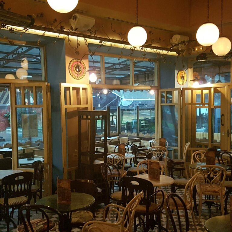 294640805 423054153210288 8363013186041459889 n 768x768