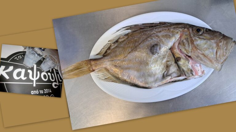 334781435 601087244857092 2590574153440330618 n 768x432