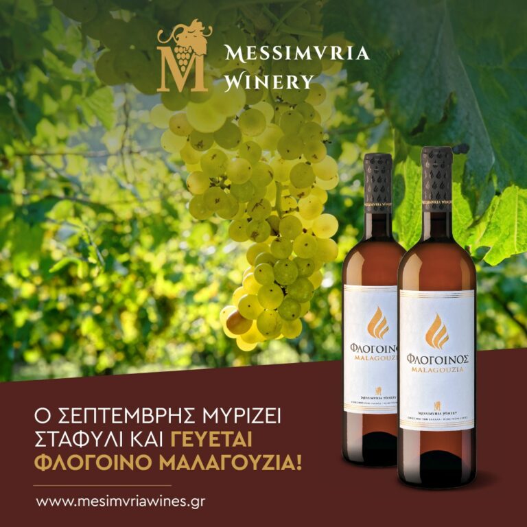 458290904 1060200989441724 2356301449578404497 n 768x768