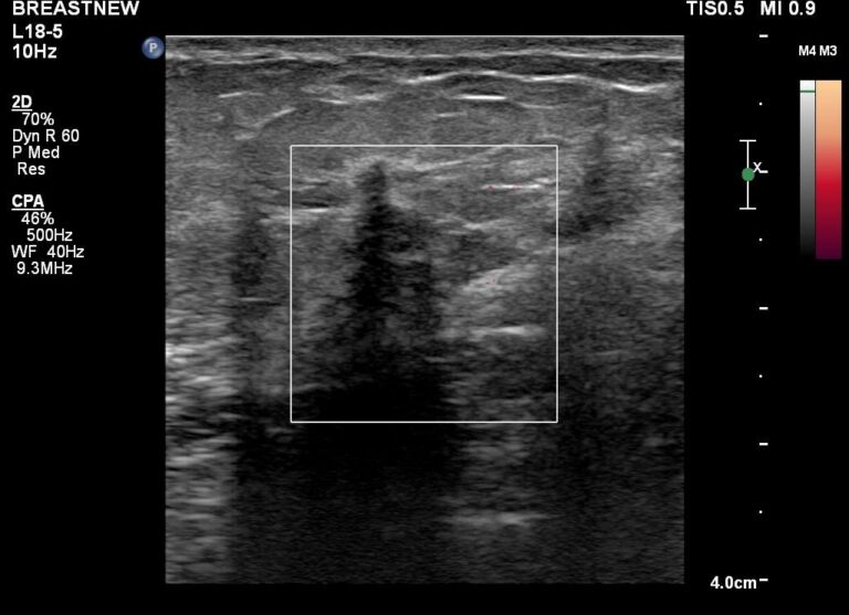 460158276 3976391562589799 2344834042805592340 n 768x557