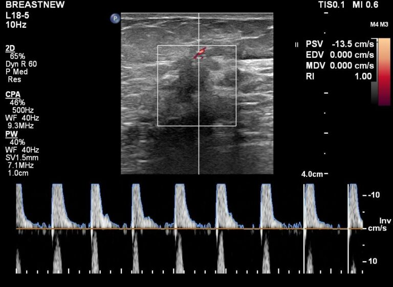 460525136 3976363035925985 6893111738599773961 n 768x560