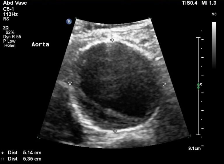 461394403 3983828688512753 7547470124531174627 n 768x562