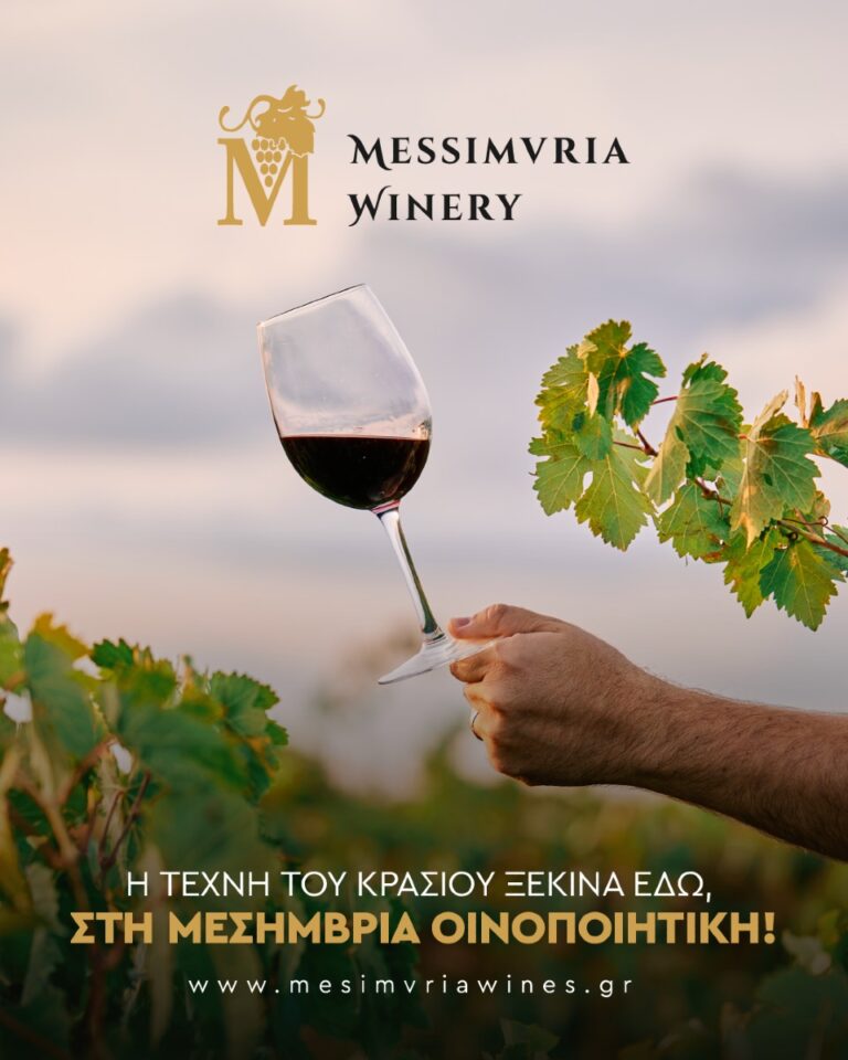 462233107 1086682006793622 884003439876480225 n 768x960