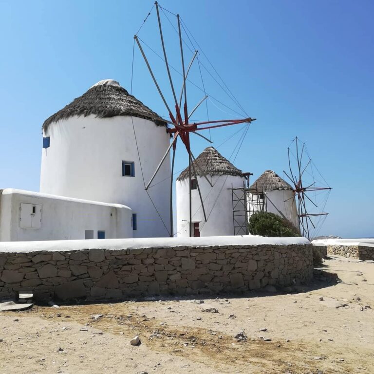 40683915 972850506231849 6334980408303681536 n 768x768