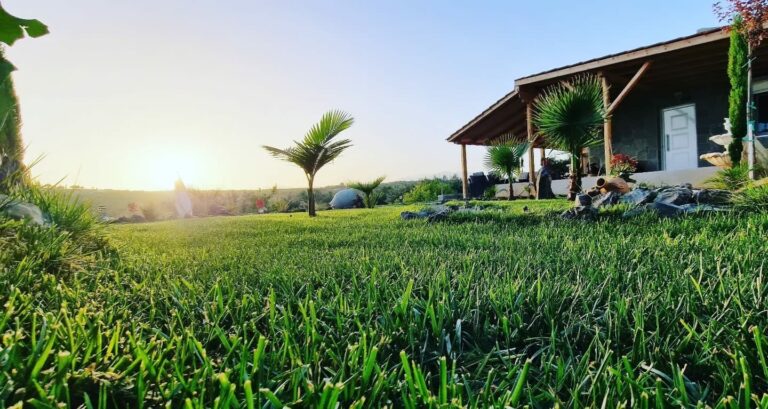 445523510 428702969921109 3713057989021398315 n 768x409