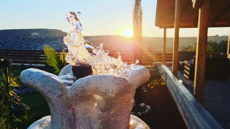 448393839 439429518848454 7507307788658804733 n 768x432